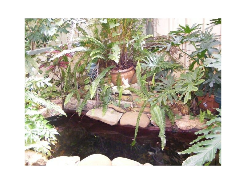 Paradise Point QLD 4216