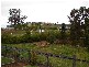 Picton NSW 2571