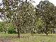 Bargo NSW 2574