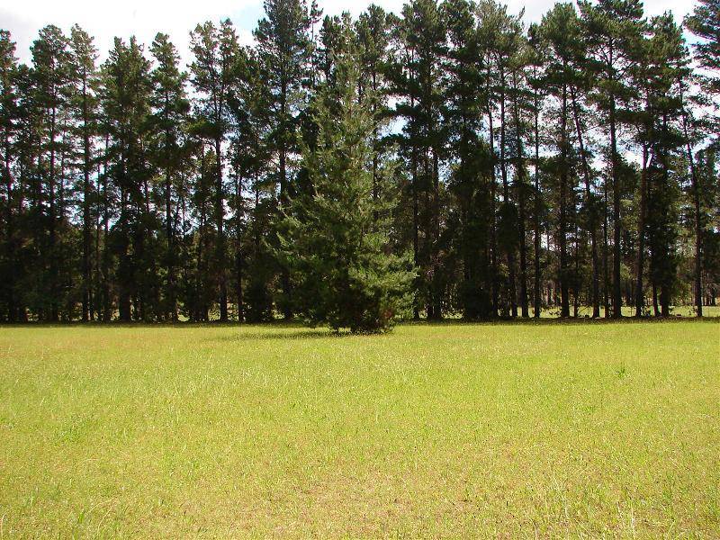 Thirlmere NSW 2572