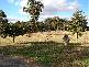 Lakesland NSW 2572