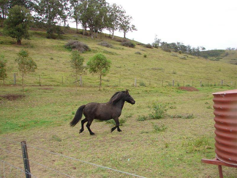 Picton NSW 2571