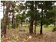 71  Colo Rd, Colo Vale NSW 2575