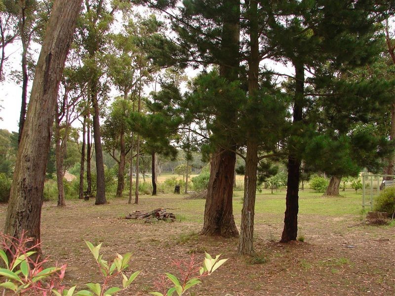 71  Colo Rd, Colo Vale NSW 2575