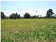 Pheasants Nest NSW 2574