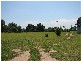 Pheasants Nest NSW 2574