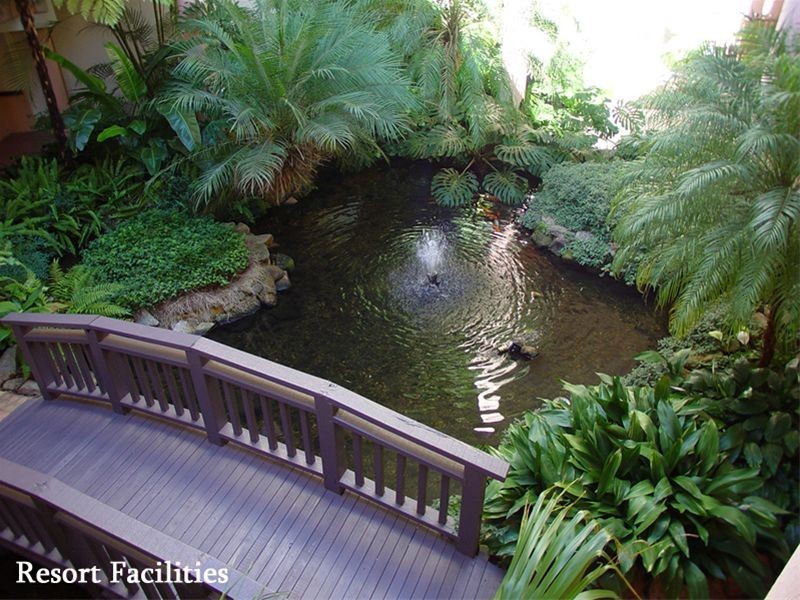 50 / 7  Waters Road, Neutral Bay NSW 2089