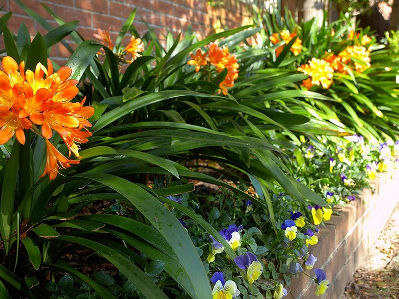 34  Thompson Street, Mosman NSW 2088