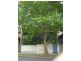 Crows Nest NSW 2065
