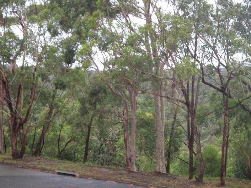 25 Tennant Place, Illawong NSW 2234