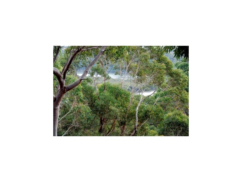 185 Woronora Crescent, Como NSW 2226