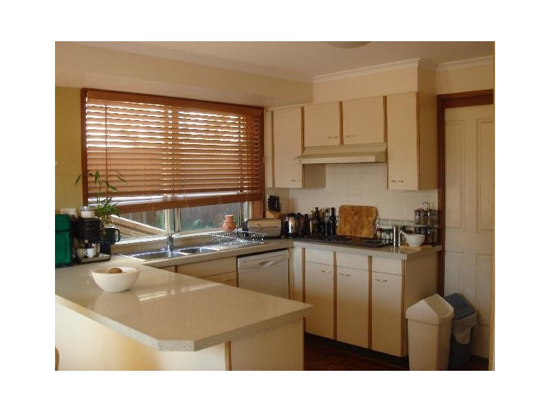 56  Toronto Parade, Sutherland NSW 2232