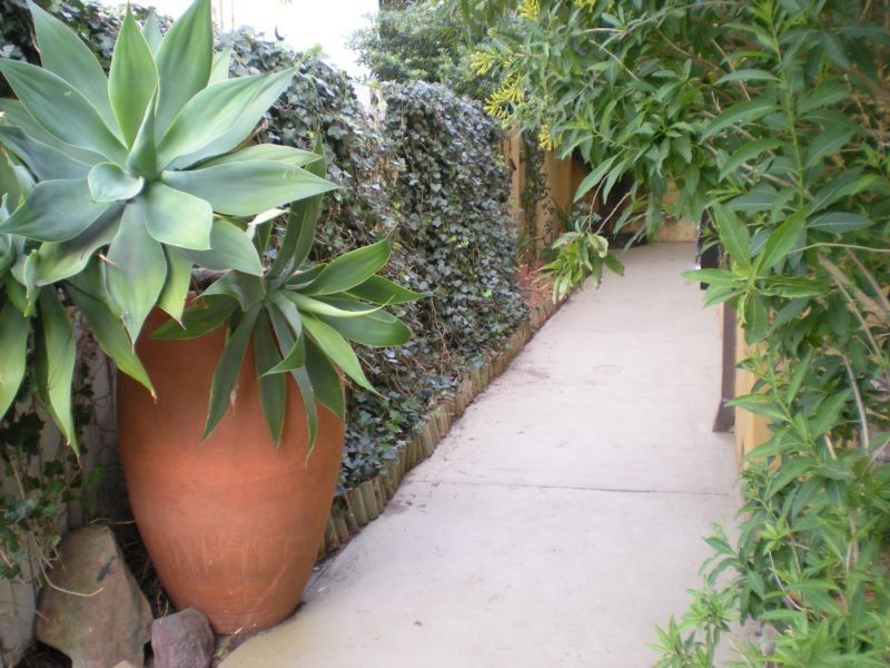 Bondi Beach NSW 2026