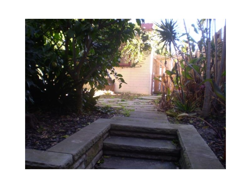42  William Street, Paddington NSW 2021