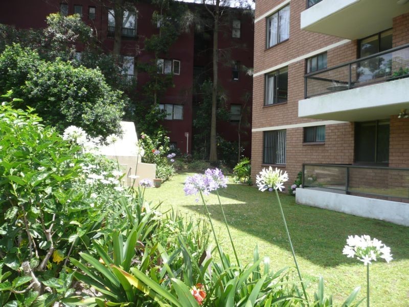 4/33  Waratah St, Rushcutters Bay NSW 2011