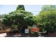 3/55 Frederick Street, Ashfield NSW 2131
