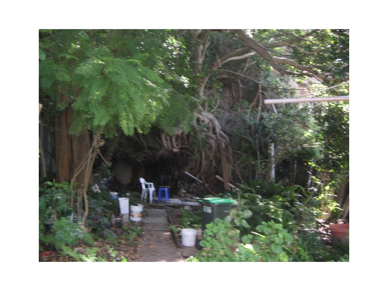 516  Illawarra Road, Marrickville NSW 2204