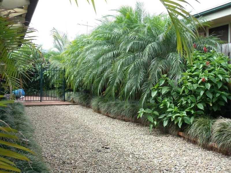 19  Cassinia Court, Wattle Grove NSW 2173