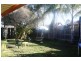 12 Implexa Court, Wattle Grove NSW 2173