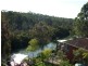 1  Gambier Ave, Sandy Point NSW 2172
