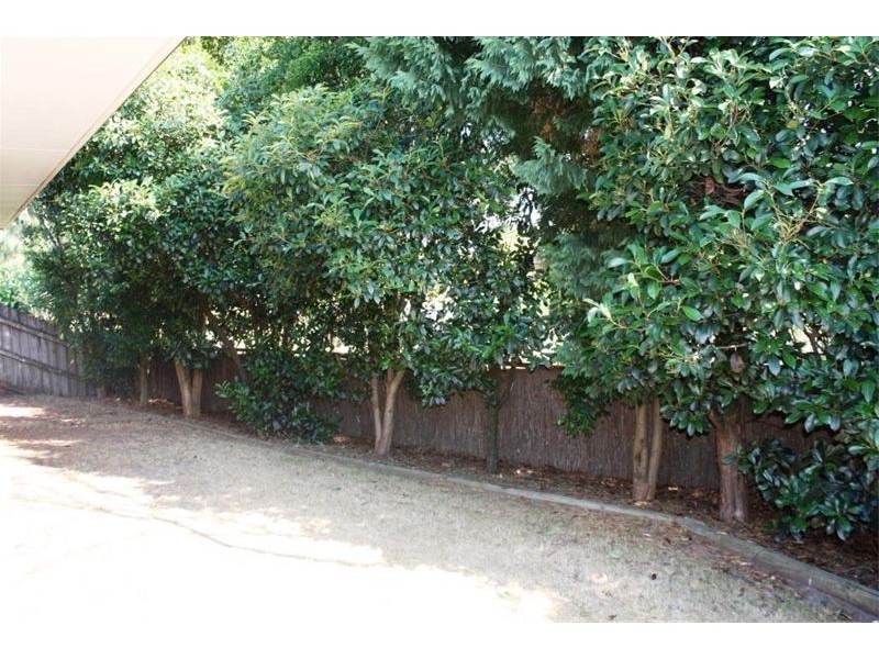 9  Ancura Crt, Wattle Grove NSW 2173
