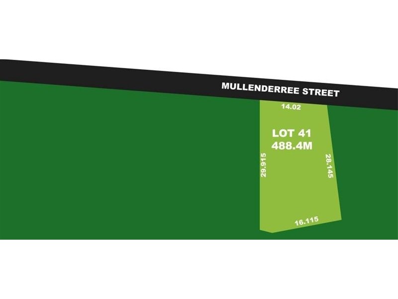 Lot 41 Mullenderree St, Prestons NSW 2170