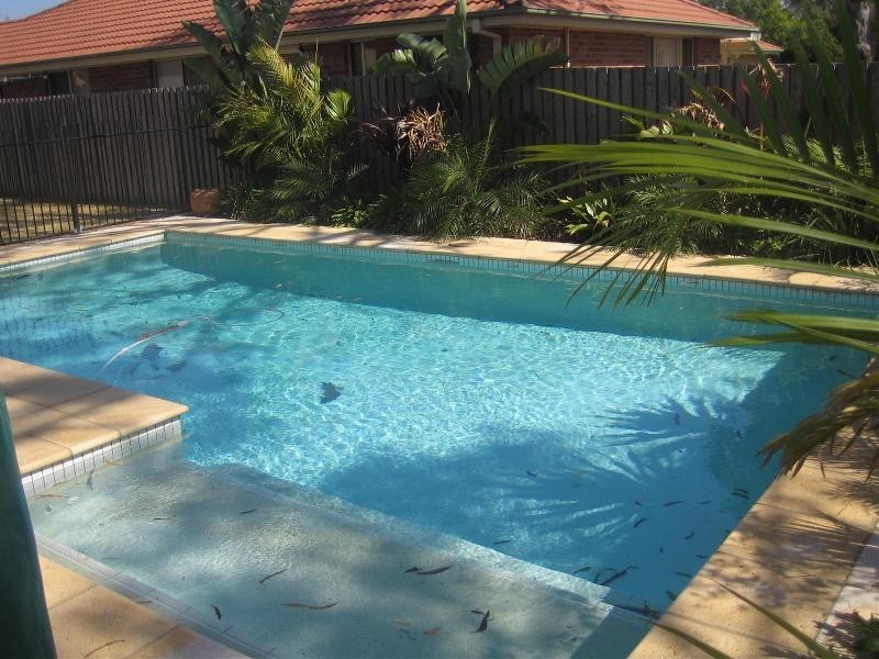 31  Jenolan Crt, Wattle Grove NSW 2173