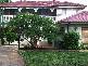 49 St George Crescent, Sandy Point NSW 2172