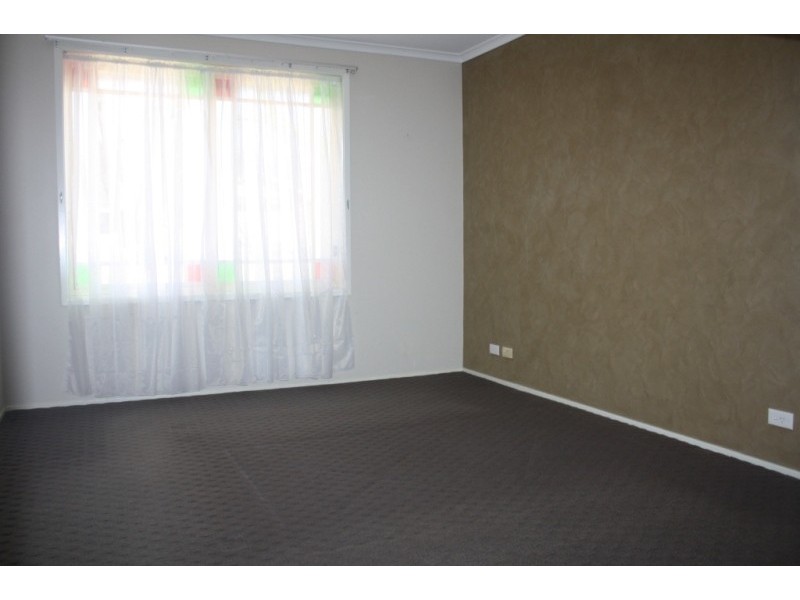 159 Australis Ave, Wattle Grove NSW 2173