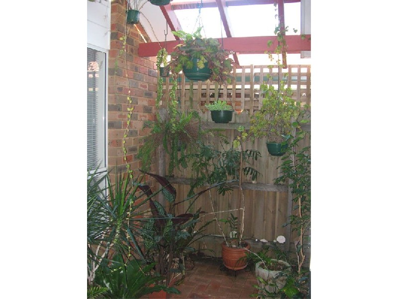 10  Valleyfield Ct, Wattle Grove NSW 2173