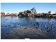 10  Valleyfield Ct, Wattle Grove NSW 2173