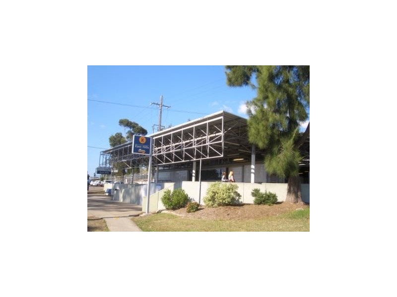 10   Pratia Ct, Voyager Point NSW 2172