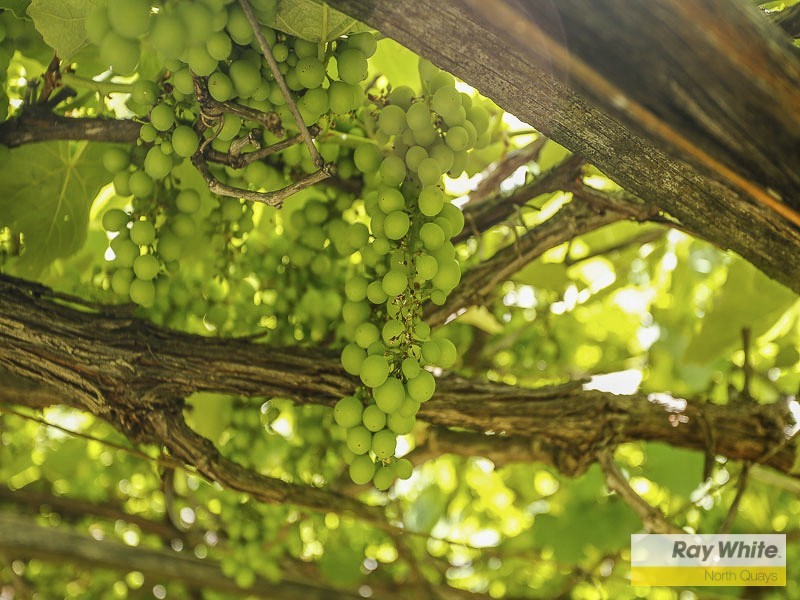 23 Allenswood Road, Greenwood WA 6024