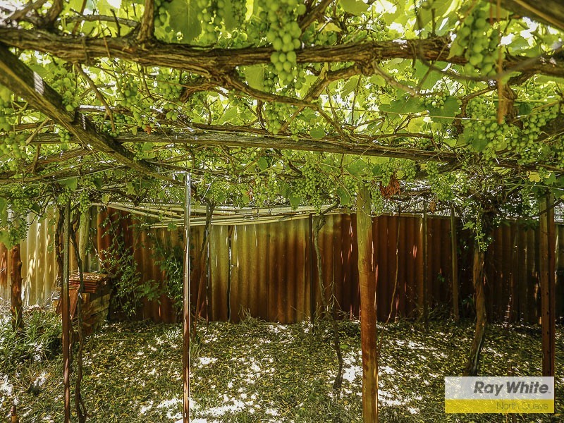 23 Allenswood Road, Greenwood WA 6024