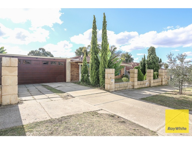 81 WINTERSWEET RAMBLE, Mirrabooka WA 6061