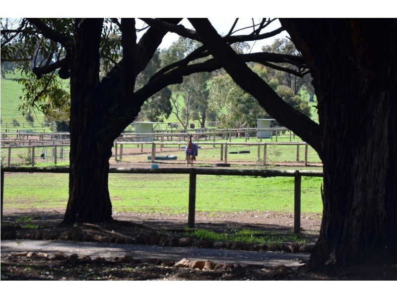 Lot 60/315 Reen Road, Gidgegannup WA 6083