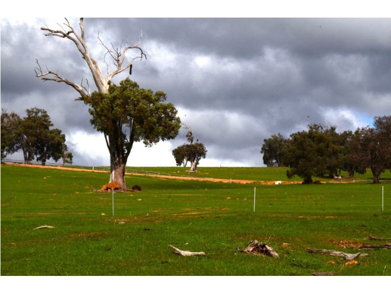 Lot 60/315 Reen Road, Gidgegannup WA 6083