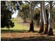 Gidgegannup WA 6083