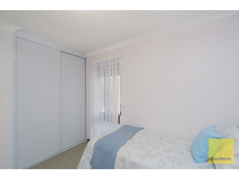 37 Rudall Way, Padbury WA 6025