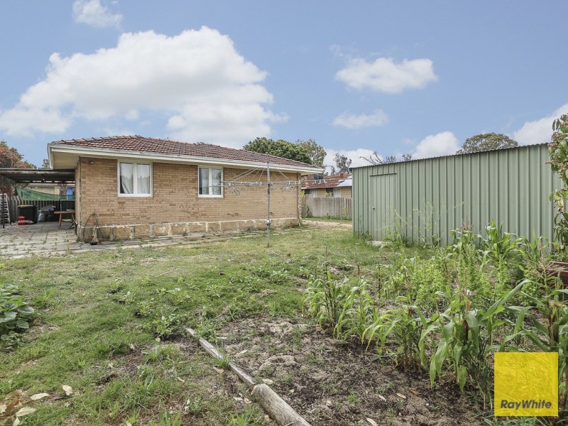 31 Koondoola Avenue, Koondoola WA 6064