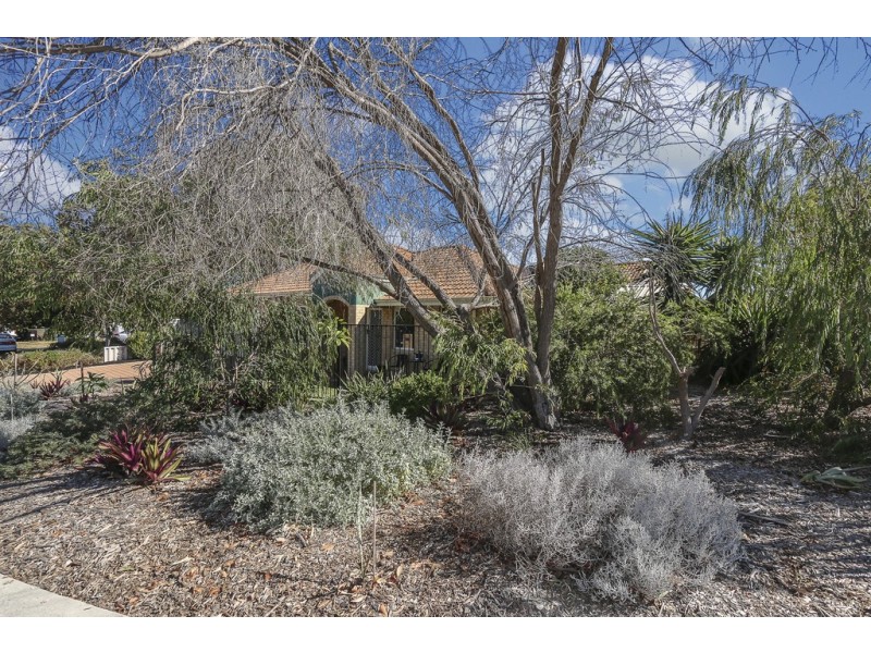 9 Lowther Terrace, Nollamara WA 6061