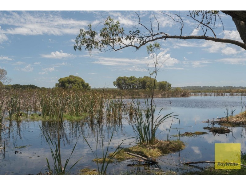 80/99 Herdsman Parade, Wembley WA 6014