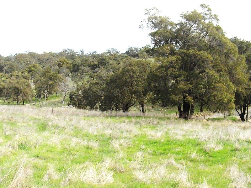 Bullsbrook WA 6084