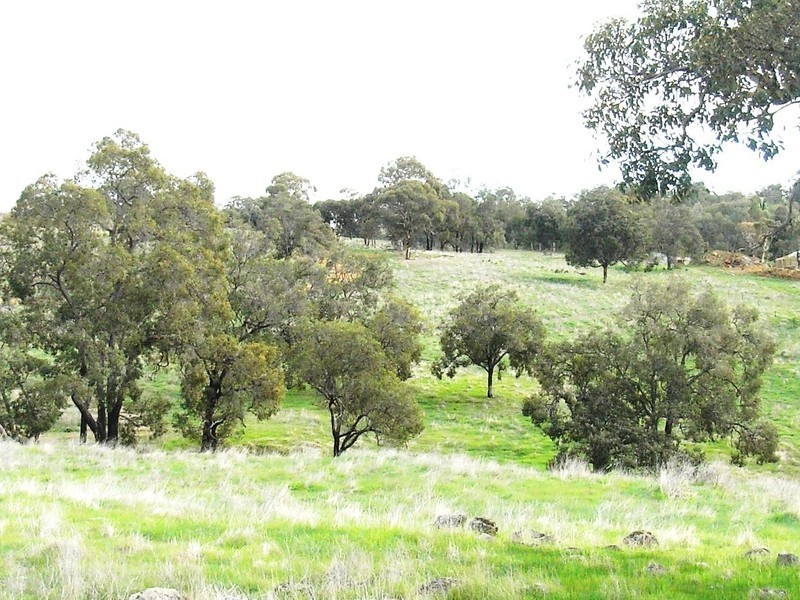 Bullsbrook WA 6084