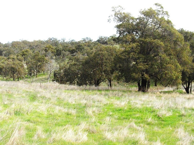 Bullsbrook WA 6084
