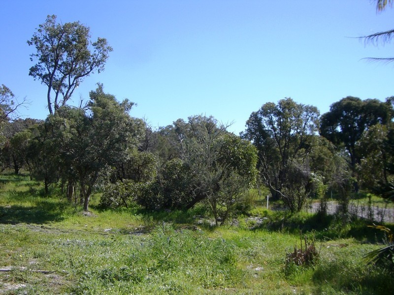 159 Badgerup Road, Wanneroo WA 6065