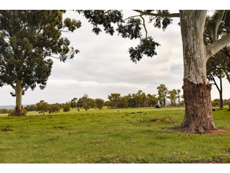 111 Potoroo Retreat, Gidgegannup WA 6083