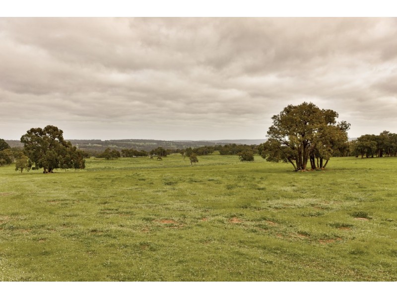 111 Potoroo Retreat, Gidgegannup WA 6083