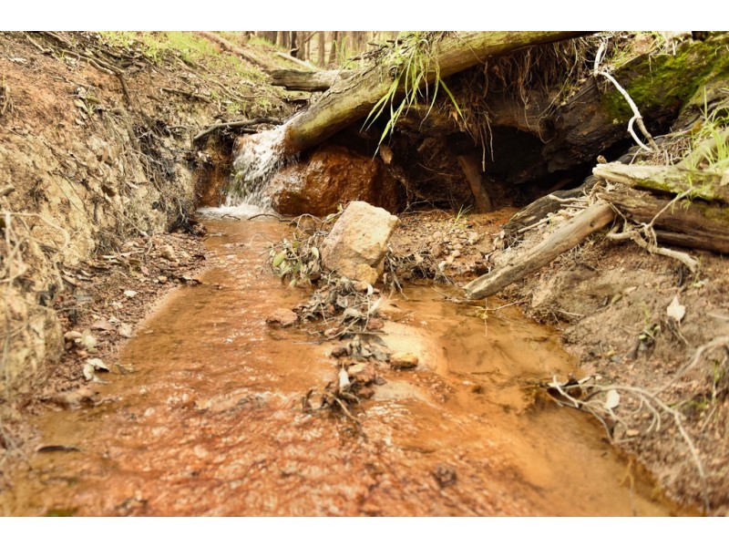 178 Potoroo Road, Gidgegannup WA 6083