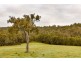 202 Potoroo Retreat, Gidgegannup WA 6083